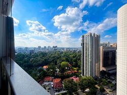 The Scotts Tower (D9), Condominium #625005241